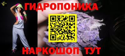 наркотики Камышлов