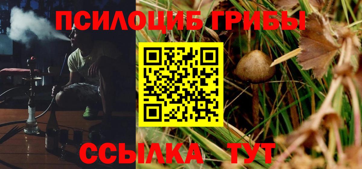 Галлюциногенные грибы GOLDEN TEACHER Спасск-Дальний