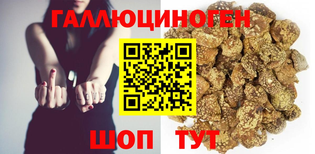 Галлюциногенные грибы Cubensis  Галлюциногенные грибы ЛСД  Вход с VPN  Спасск-Дальний 